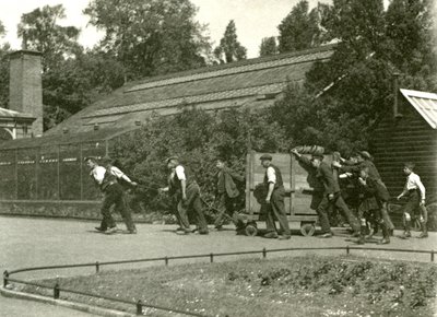 A Team of Men Moving the Leopard in a Wooden Crate, Followed by Two Boys, London Zoo, 1922 by Frederick William Bond